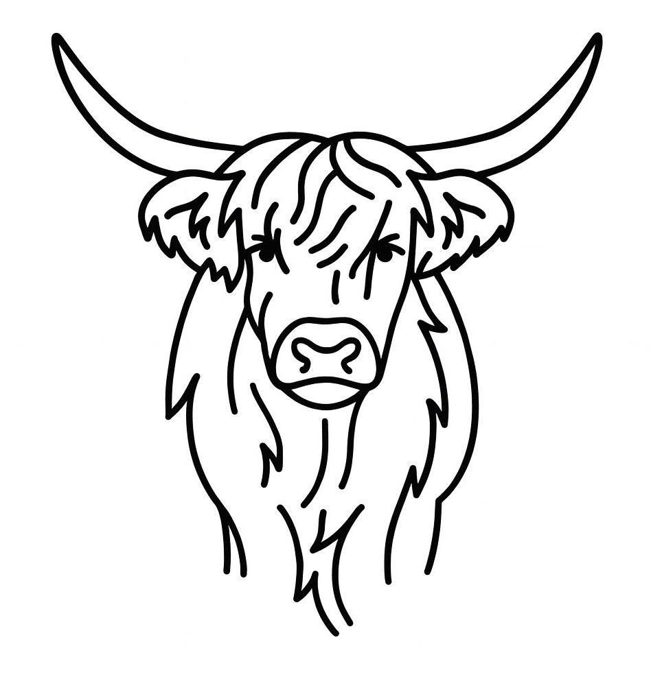 logo hochlandrind